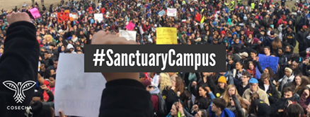 sanctuary-campus